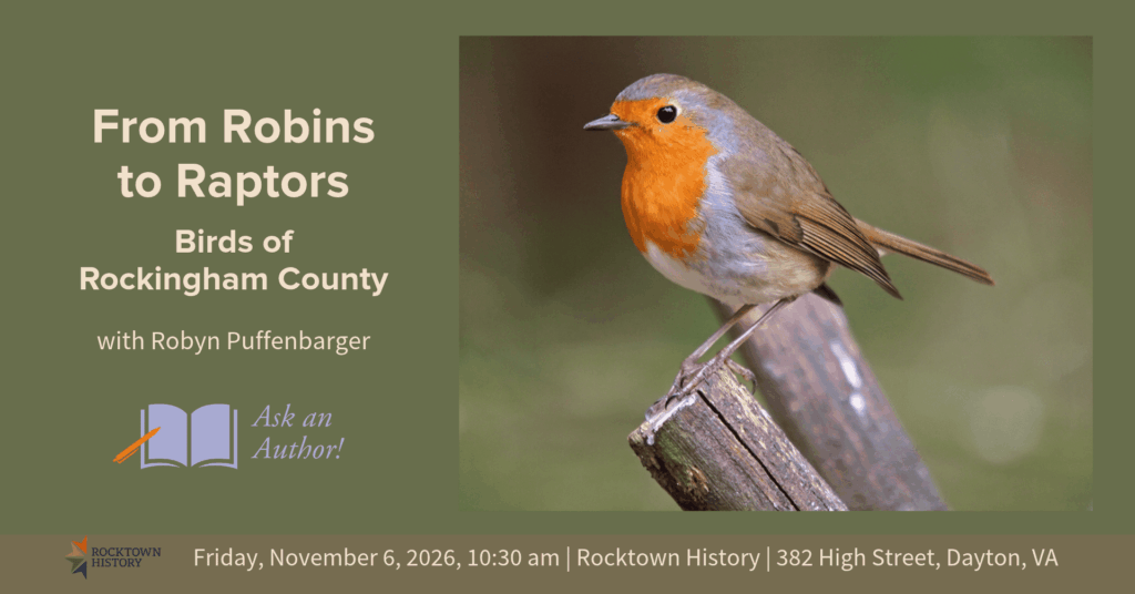 From Robins to Raptors
